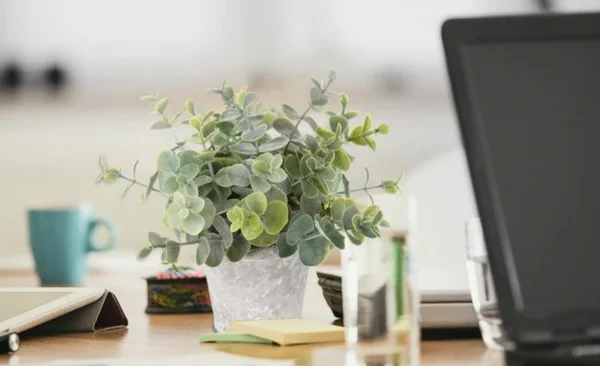 Unyqoos ® Decoratieve Set van Drie Realistische Kunstplanten in Stijlvolle Cementpotten voor Huisdecoratie