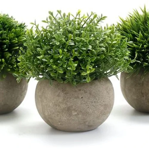 Unyqoos ® Stijlvolle Kunstplanten voor Binnenhuisdecoratie - Kies uit Diverse Opties zoals Bloemen, Succulenten en Klimop