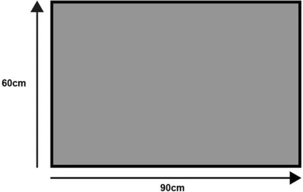 Unyqoos ® Wasbare en Stijlvolle Deurmat voor Binnen en Buiten - Sahara Beige 60 x 90 cm