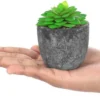Unyqoos ® Zesdelige Set van Levensechte Miniatuur Kunstplanten voor Stijlvolle Binnenhuisdecoratie