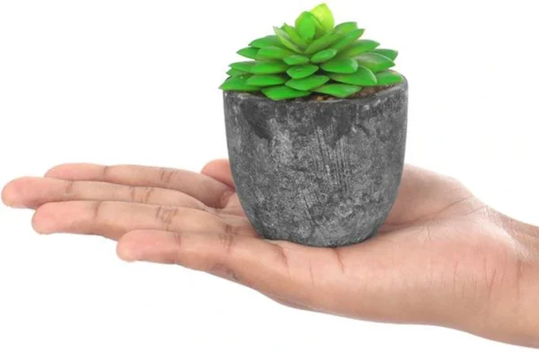 Unyqoos ® Zesdelige Set van Levensechte Miniatuur Kunstplanten voor Stijlvolle Binnenhuisdecoratie