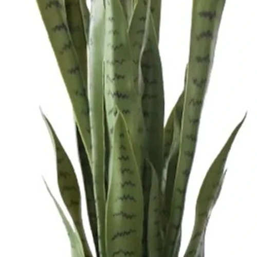 Unyqoos® Levensechte kunst Sansevieria plant voor interieur en exterieur decoratie