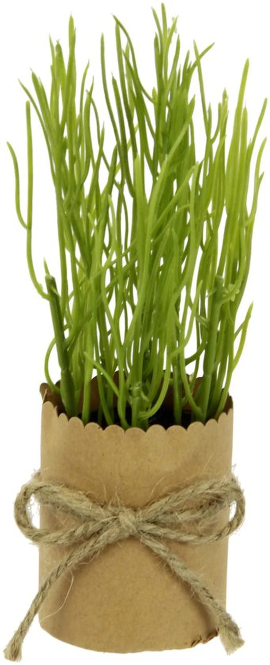 P-87213231085404-20260405135942.webp Unyqoos® Set van zes kunstmatige kruidenplanten in decoratieve potjes voor huisdecoratie, groente, 12cm, stuks 6