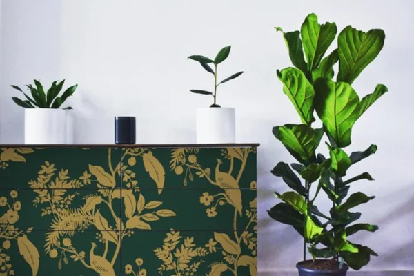 Unyqoos® Waterdicht zelfklevend behang met vogels en bladeren voor vintage decoratie 44 cm x 3 m