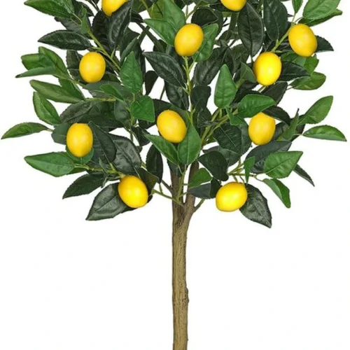 P-87213231627190-20260405141028.webp Unyqoos® Natuurgetrouwe kunst citroenboom als decoratie voor huis en kantoor, groente, 90 cm