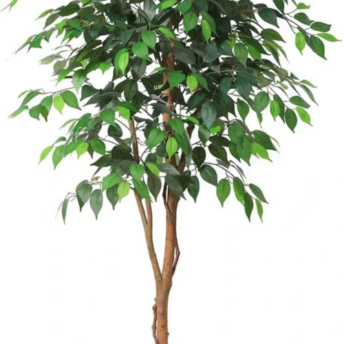 Unyqoos® Decoratieve kunstplant Ficus Benjamina van 150 cm voor interieur en kantoor