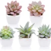 P-87213232195810-20260405134845.webp Unyqoos® Set van vijf kunstmatige mini-succulenten in witte keramische potten