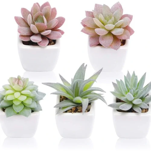 P-87213232195810-20260405134845.webp Unyqoos® Set van vijf kunstmatige mini-succulenten in witte keramische potten