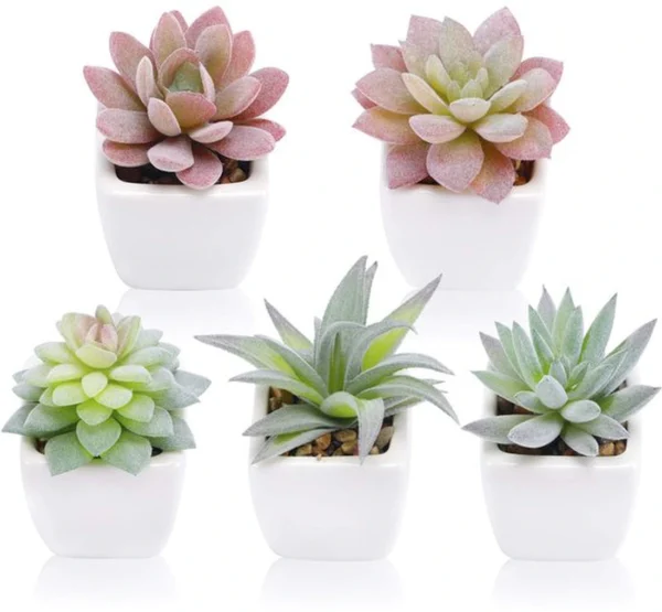 P-87213232195810-20260405134845.webp Unyqoos® Set van vijf kunstmatige mini-succulenten in witte keramische potten