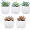 P-87213232195814-20260405134900.webp Unyqoos® Set van vijf kunstmatige mini-succulenten in witte keramische potten