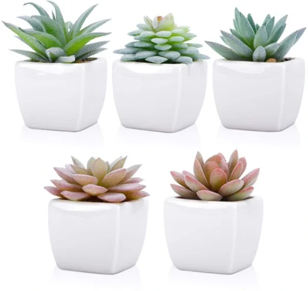 P-87213232195814-20260405134900.webp Unyqoos® Set van vijf kunstmatige mini-succulenten in witte keramische potten