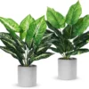 P-87213232306540-20260405135009.webp Unyqoos® Set van twee realistische kunstplanten voor veelzijdige interieurdecoratie