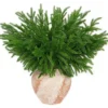 P-87213232804200-20260405140309.webp Unyqoos® Set van 6 kunstzinnige groene takken voor feestelijke decoratie