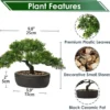 P-87213232963532-20260405140641.webp Unyqoos® Natuurgetrouwe kunstbonsai in zwarte keramische pot voor stijlvolle decoratie