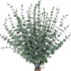P-87213233258000-20260405141044.webp Unyqoos® Set van 30 Gedroogde Eucalyptus Stelen voor Bruiloft en Interieurdecoratie