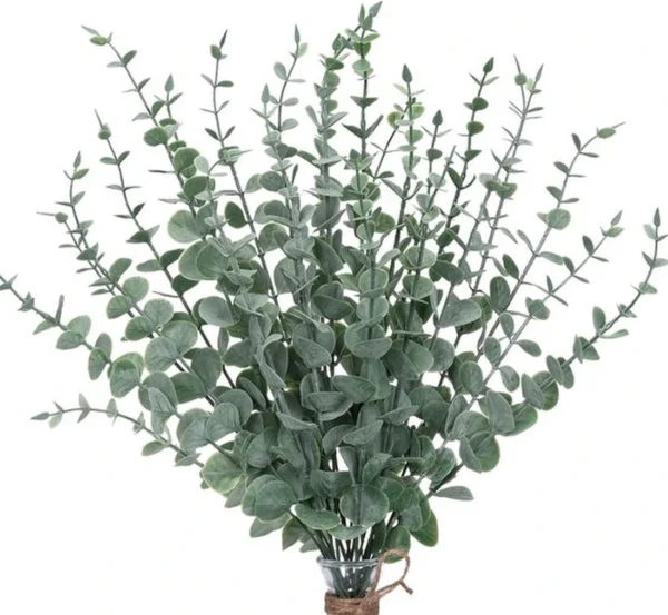 P-87213233258000-20260405141044.webp Unyqoos® Set van 30 Gedroogde Eucalyptus Stelen voor Bruiloft en Interieurdecoratie