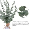 P-87213233258001-20260405141056.webp Unyqoos® Set van 30 Gedroogde Eucalyptus Stelen voor Bruiloft en Interieurdecoratie