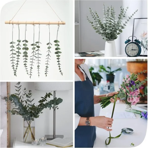 P-87213233258008-20260405141136.webp Unyqoos® Set van 30 Gedroogde Eucalyptus Stelen voor Bruiloft en Interieurdecoratie