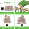 Unyqoos® Levensechte kunst Monstera plant van 65 cm voor huis en kantoor decoratie