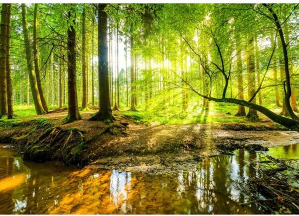 Unyqoos® Fotobehang met levendige kleuren en eenvoudige montage voor elke kamer