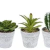 Unyqoos® Set van vijf kunstplanten in grijze pot voor sfeervolle decoratie thuis of op kantoor