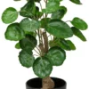 Unyqoos® Decoratieve en Onderhoudsvrije Kunstplant van 45 cm voor Binnen en Buiten