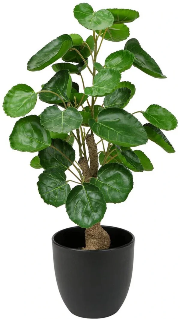 Unyqoos® Decoratieve en Onderhoudsvrije Kunstplant van 45 cm voor Binnen en Buiten