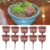 P-87213233739622-20260405135614.webp Unyqoos® Set van 10 Bonsai Gereedschap Met Deksel voor Decoratieve Tuin