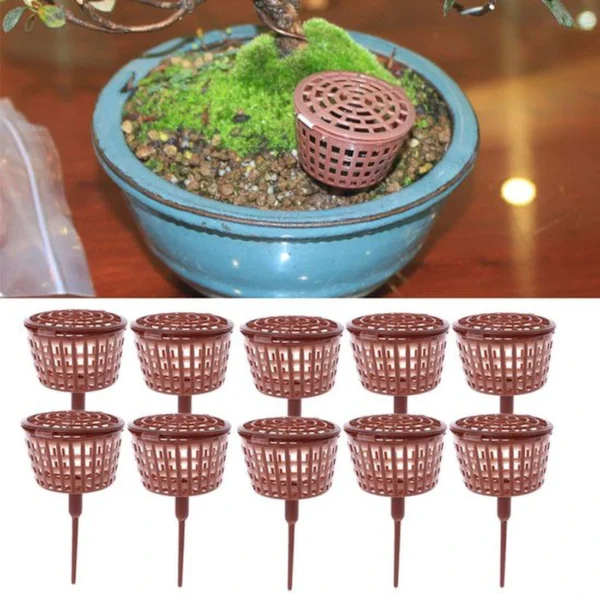 P-87213233739622-20260405135614.webp Unyqoos® Set van 10 Bonsai Gereedschap Met Deksel voor Decoratieve Tuin