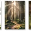 Unyqoos® Set van 3 Kunstzinnige Natuurlandschap Posters voor Sfeervolle Interieurdecoratie