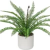 Unyqoos® Levensechte kunstvaren in stijlvolle pot voor interieurdecoratie, groente, 20cm