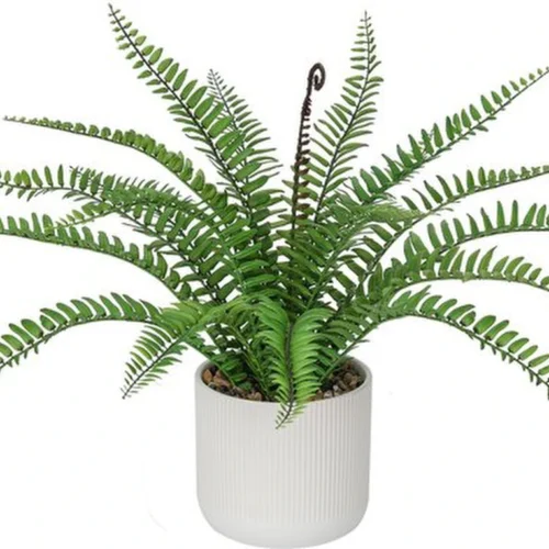 Unyqoos® Levensechte kunstvaren in stijlvolle pot voor interieurdecoratie, groente, 20cm