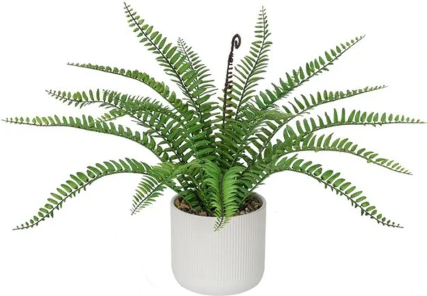 Unyqoos® Levensechte kunstvaren in stijlvolle pot voor interieurdecoratie, groente, 20cm