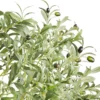 Unyqoos® Kunstmatige Olijfboom van 155 cm Hoog voor Binnen- en Buitendecoratie, Geurloos en Waterdicht