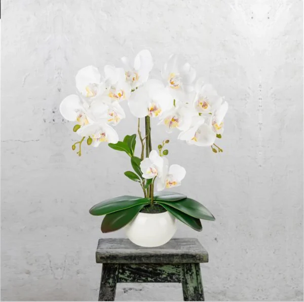 P-87213234779673-20260405141853.webp Unyqoos® Stijlvolle Kunstorchideeën in Hoogglans Keramische Pot voor Elk Interieur