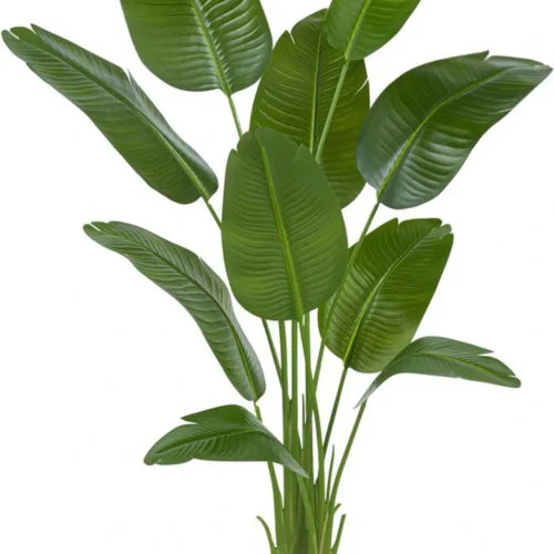 Unyqoos® Grote Tropische Bananenboom van 180 cm met Realistische Bladeren en Witte Pot