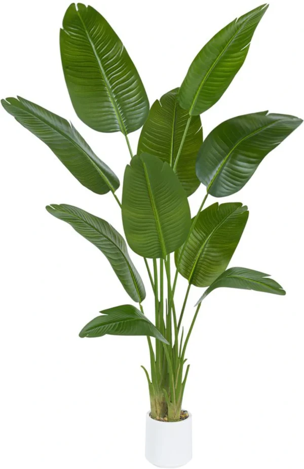 Unyqoos® Grote Tropische Bananenboom van 180 cm met Realistische Bladeren en Witte Pot