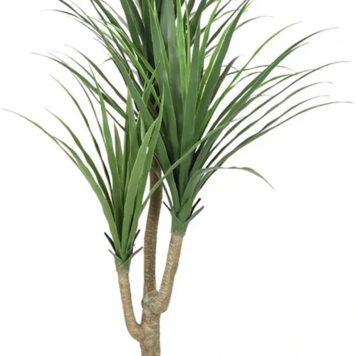 Unyqoos® Onderhoudsvrije Dracena Kunstplant voor Huis en Kantoorinterieur