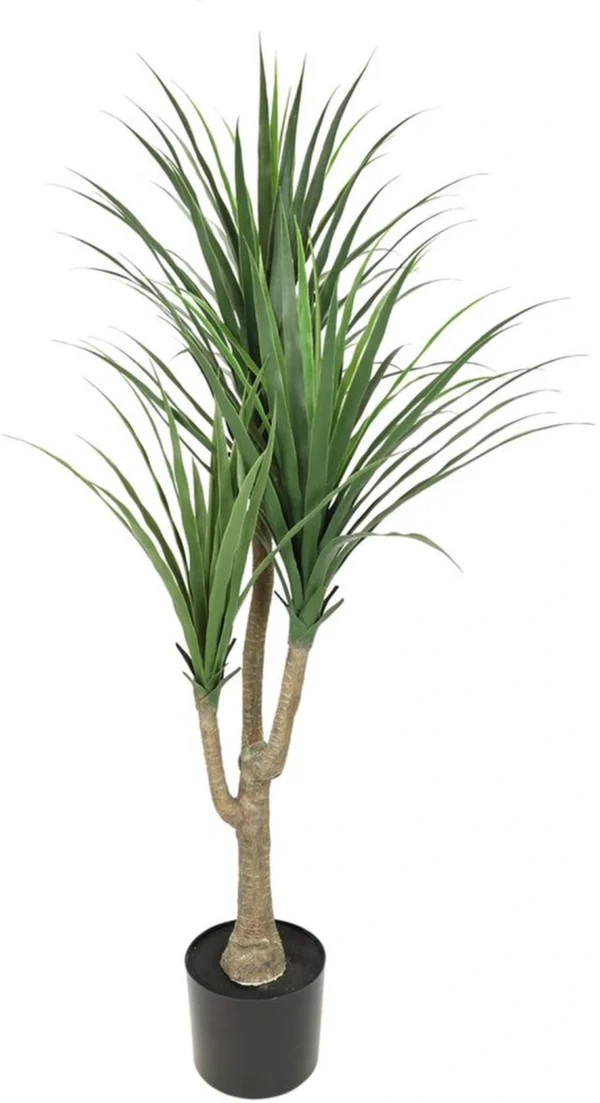Unyqoos® Onderhoudsvrije Dracena Kunstplant voor Huis en Kantoorinterieur
