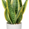 Unyqoos® Decoratieve kunstplant in stijlvolle pot voor huis en kantoor