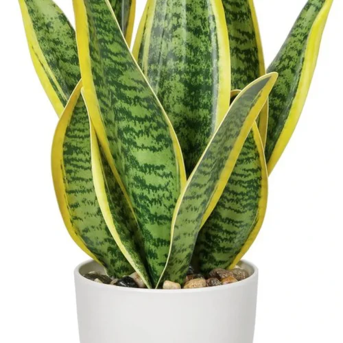 Unyqoos® Decoratieve kunstplant in stijlvolle pot voor huis en kantoor