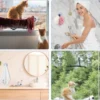 Unyqoos® Set van vier sterke zuignappen voor kattenhangmatten en decoraties