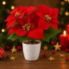 Unyqoos® Set van drie kunstkerststerren in elegante keramische pot voor feestelijke decoratie