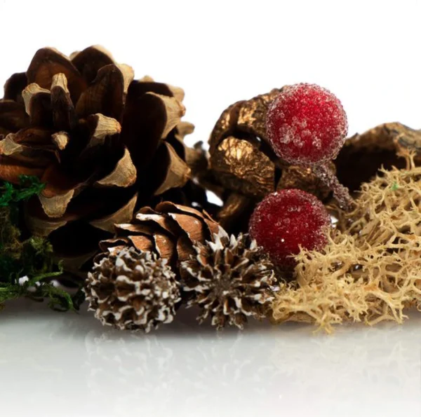 Unyqoos® Set van 6 Natuurlijke Kerstdecoraties met Kegels en Takken voor Feestelijke Sfeer