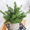 P-87213236318331-20260405141547.webp Unyqoos® Set van drie levensechte kunstplanten voor stijlvolle interieurdecoratie