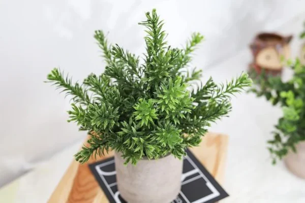 P-87213236318331-20260405141547.webp Unyqoos® Set van drie levensechte kunstplanten voor stijlvolle interieurdecoratie