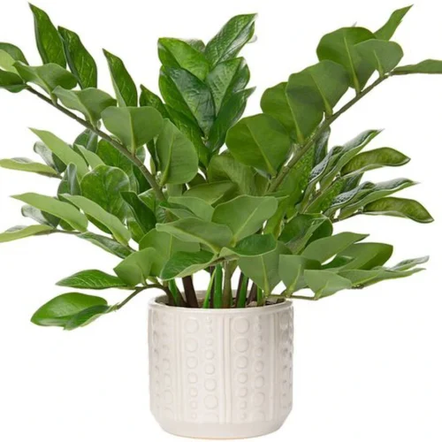 Unyqoos® Stijlvolle kunstplanten in pot voor decoratieve tafelaankleding en interieur, groente, 39 cm