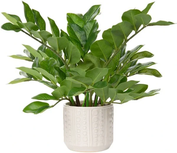 P-87213236372930-20260405141741.webp Unyqoos® Stijlvolle kunstplanten in pot voor decoratieve tafelaankleding en interieur, groente, 39 cm