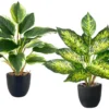 P-87213236507730-20260405141941.webp Unyqoos® Set van twee levensechte kunstplanten voor diverse interieurstijlen