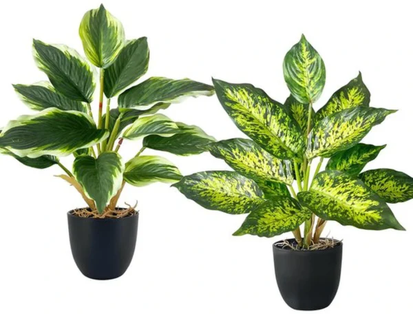 P-87213236507730-20260405141941.webp Unyqoos® Set van twee levensechte kunstplanten voor diverse interieurstijlen